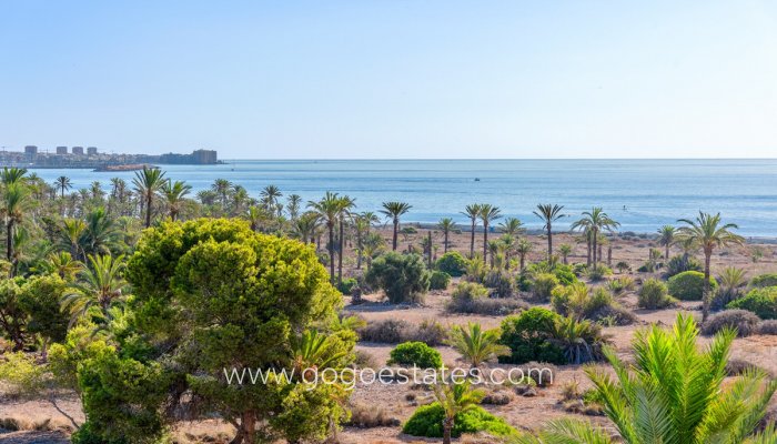 Revente - Appartement - Appartement au rez-de-chaussée - Orihuela - Punta Prima