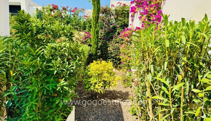 Te koop - Huis - Vrijstaande Villa - Algorfa - La finca golf