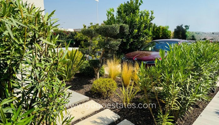 Te koop - Huis - Vrijstaande Villa - Algorfa - La finca golf