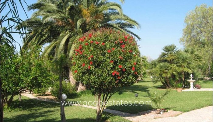 Te koop - Huis - Vrijstaande Villa - Dénia - Denia Centro