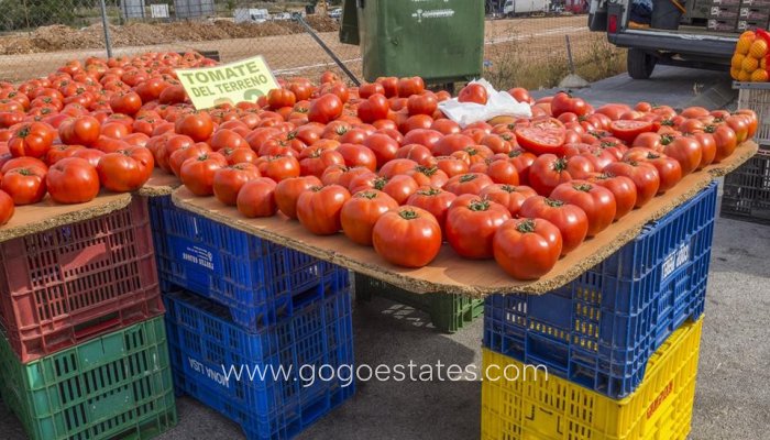 Te koop - Huis - Vrijstaande Villa - Pedreguer - Pedreguer Centro