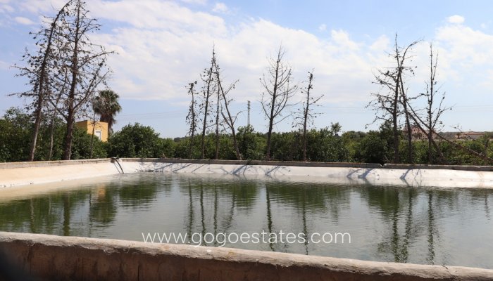 Te koop - Huis - Vrijstaande Villa - Algorfa - Algorfa Centro