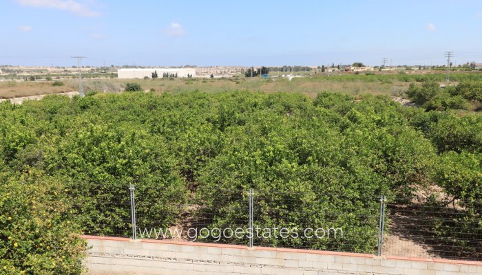 Te koop - Huis - Vrijstaande Villa - Algorfa - Algorfa Centro