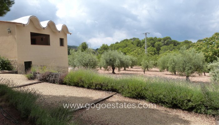 Te koop - Huis - Vrijstaande Villa - Ibi - Ibi Centro