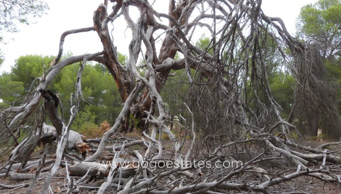 Te koop - Huis - Vrijstaande Villa - Ibi - Ibi Centro
