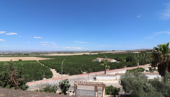 Te koop - Huis - Vrijstaande Villa - Algorfa - Algorfa Centro