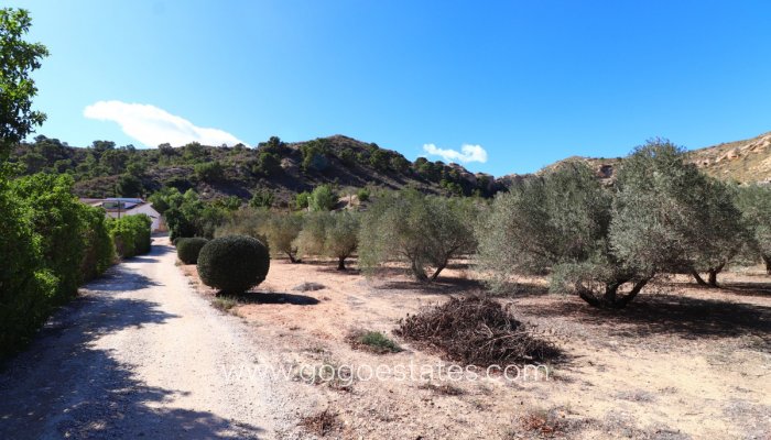 Te koop - Huis - Vrijstaande Villa - Aspe - Aspe Centro