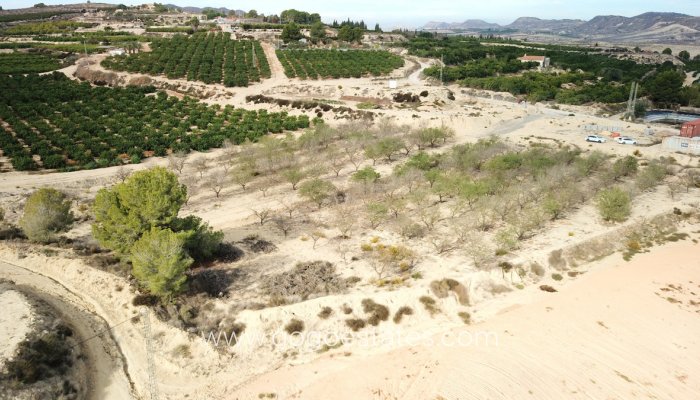 Te koop - Perceel - Land - Orihuela - Torremendo