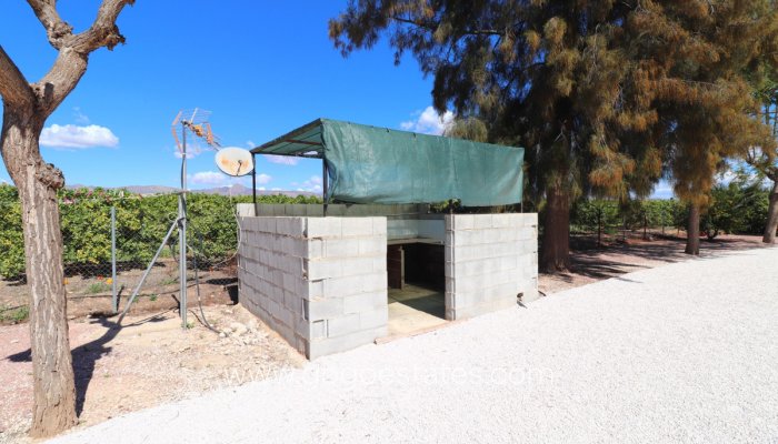 Te koop - Huis - Vrijstaande Villa - Callosa de Segura - Callosa de Segura Centro