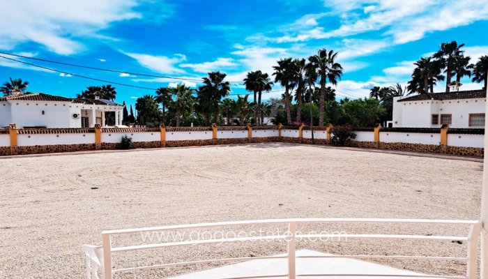 Te koop - Huis - Vrijstaande Villa - Catral - Catral Centro