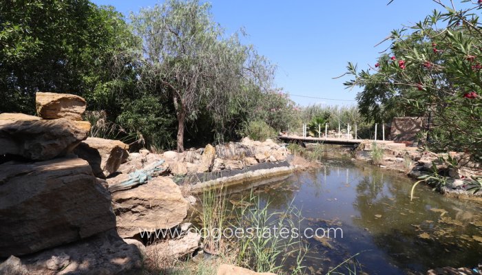 Te koop - Huis - Vrijstaande Villa - Catral - Catral Centro