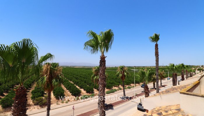 Te koop - Huis - Halfvrijstaande woning - Algorfa - Algorfa Centro