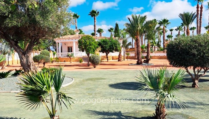 Te koop - Huis - Vrijstaande Villa - Catral - Catral Centro