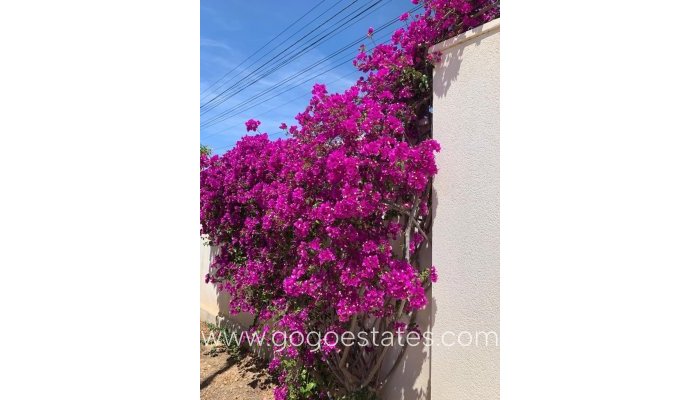 Te koop - Huis - Bungalow - Rojales - Ciudad Quesada