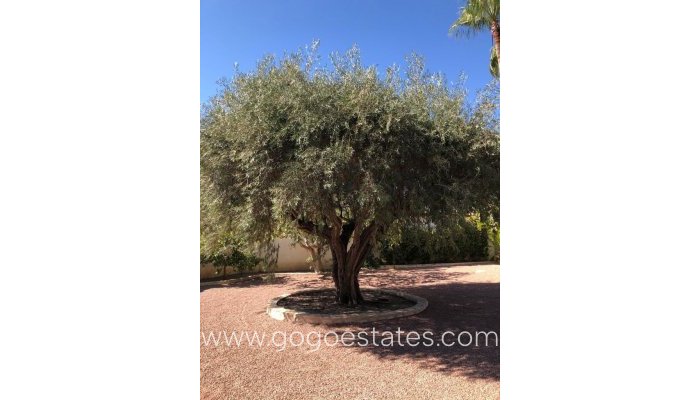 Te koop - Huis - Bungalow - Rojales - Ciudad Quesada