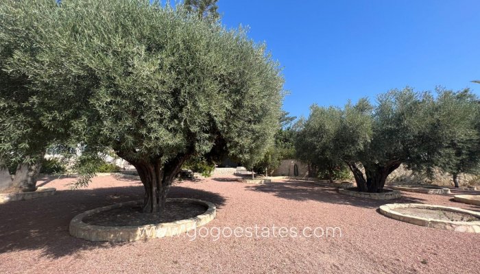 Te koop - Huis - Bungalow - Rojales - Ciudad Quesada