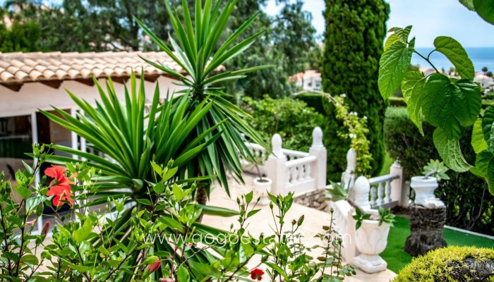 Te koop - Huis - Bungalow - Calpe - Calpe Centro