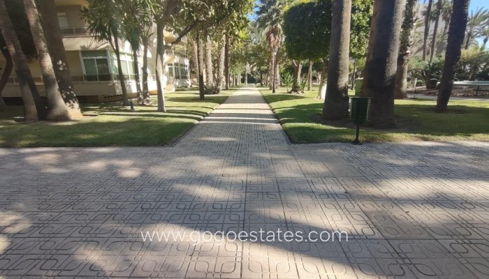 Revente - Appartement - Appartement au rez-de-chaussée - Torrevieja - Torrevieja Centro