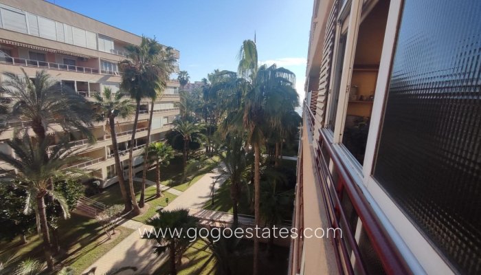 Revente - Appartement - Appartement au rez-de-chaussée - Torrevieja - Torrevieja Centro