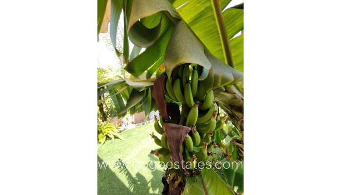 Revente - Maison - Bungalow - Finestrat