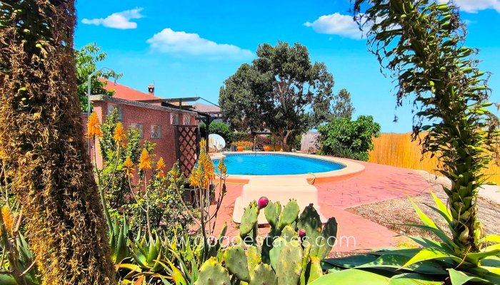 Te koop - Huis - Finca - Cortijo - Orihuela - Orihuela Centro