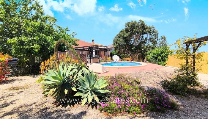 Te koop - Huis - Finca - Cortijo - Orihuela - Orihuela Centro