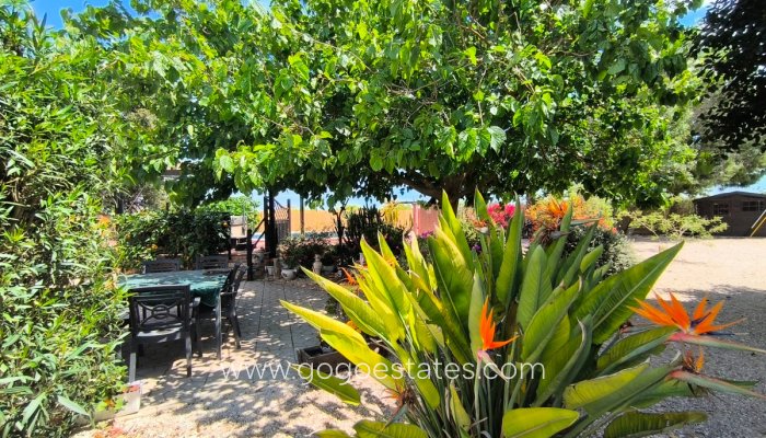 Te koop - Huis - Finca - Cortijo - Orihuela - Orihuela Centro