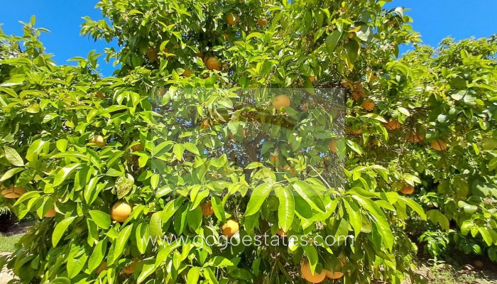 Venta - Casa - Chalet Independiente - Sanet y Negrals