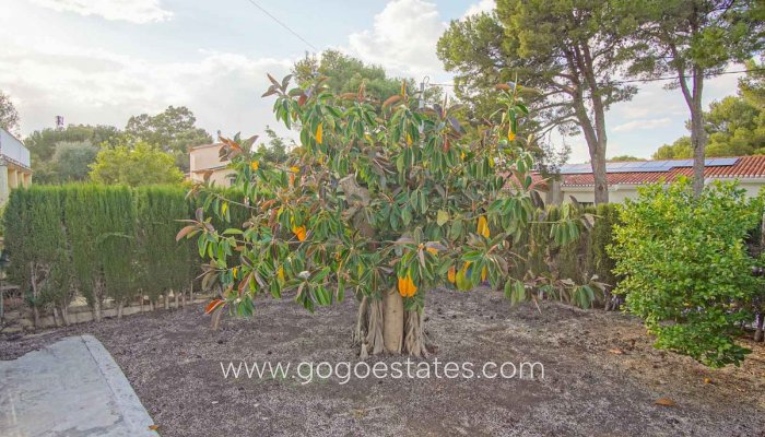 Te koop - Huis - Vrijstaande Villa - Dénia - Denia Centro