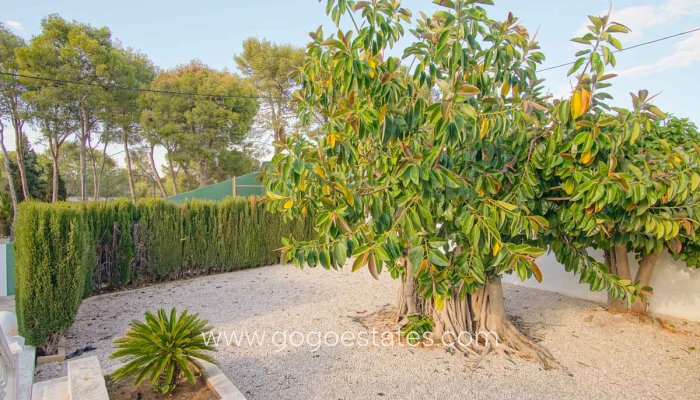 Te koop - Huis - Vrijstaande Villa - Dénia - Denia Centro