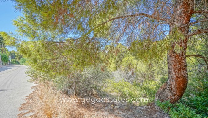 Te koop - Perceel - Land - Benissa - Benissa Centro