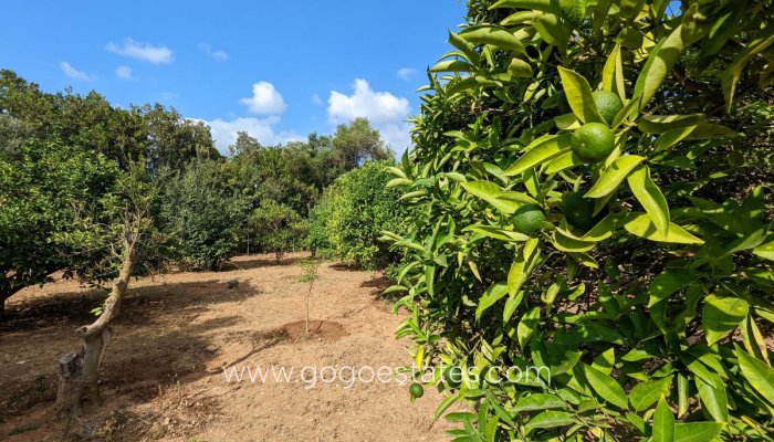 Te koop - Perceel - Woonperceel - Dénia - Denia Centro