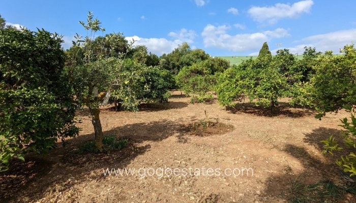 Te koop - Perceel - Woonperceel - Dénia - Denia Centro