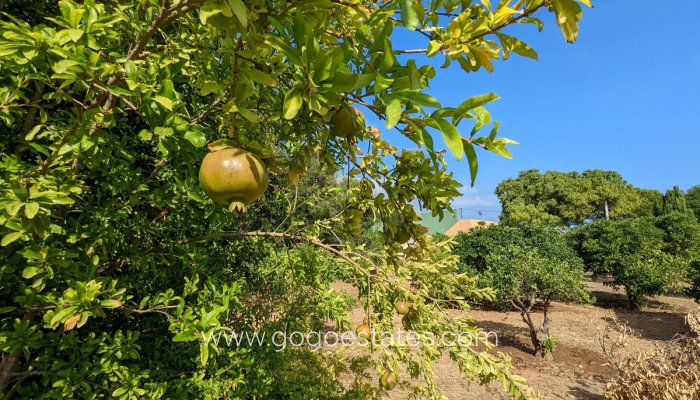 Te koop - Perceel - Woonperceel - Dénia - Denia Centro