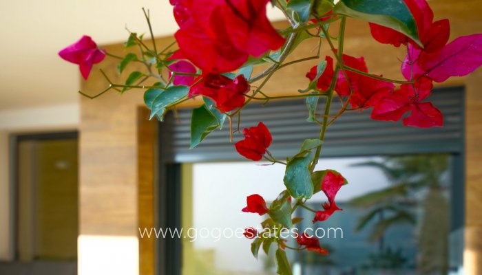 Te koop - Appartement - Begane Grond Appartement - Benitachell - Benitachell Centro