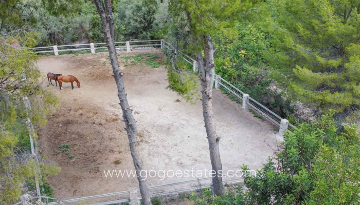 Revente - Maison - Villa Individuelle - Orba - Orba Centro