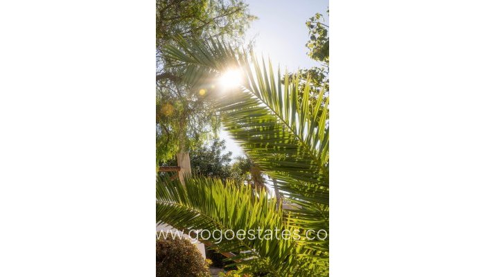 Revente - Maison - Villa Individuelle - Jávea Xàbia - Jávea - Xàbia Centro