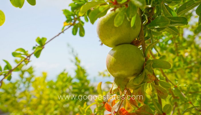 Te koop - Huis - Vrijstaande Villa - Benitachell - Benitachell Centro