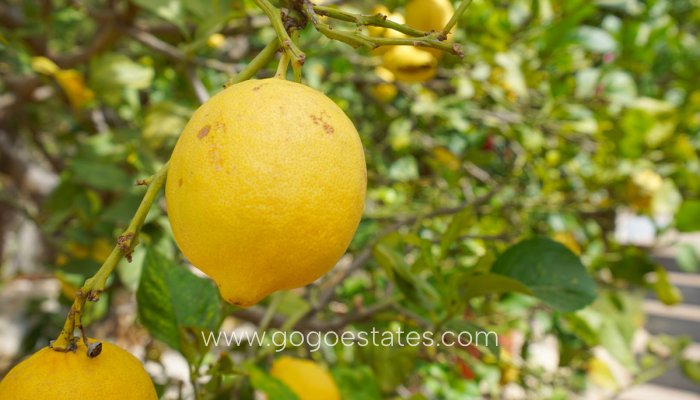 Te koop - Huis - Vrijstaande Villa - Benitachell - Benitachell Centro