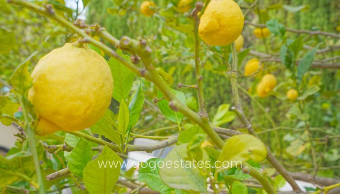 Te koop - Huis - Vrijstaande Villa - Benitachell - Benitachell Centro