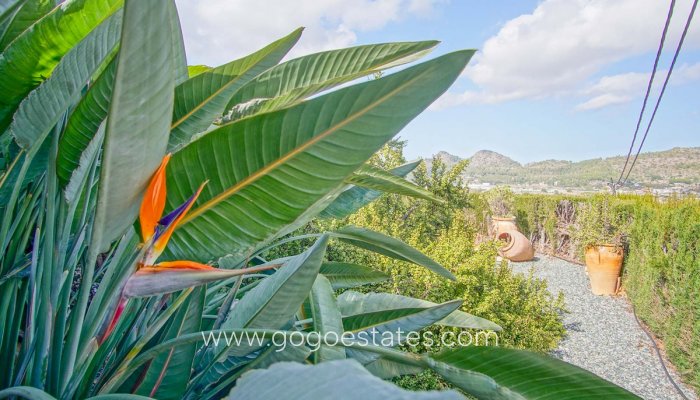 Te koop - Huis - Vrijstaande Villa - Pedreguer - Pedreguer Centro