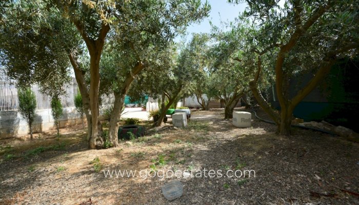 Te koop - Huis - Vrijstaande Villa - Guardamar del Segura - Guardamar del Segura Centro