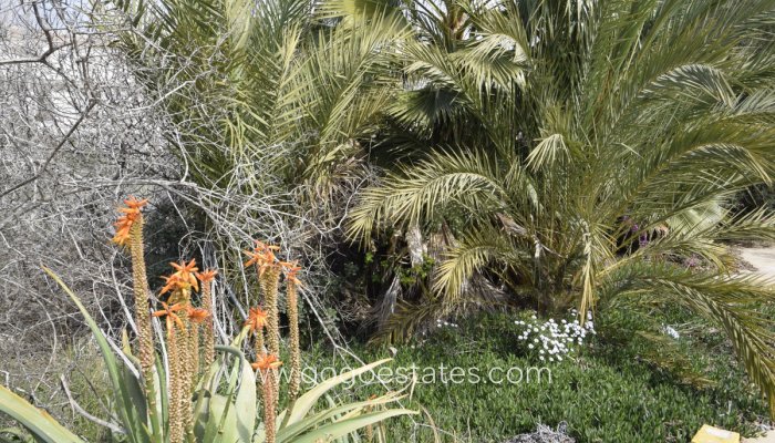 Te koop - Huis - Vrijstaande Villa - Formentera de Segura - Formentera Del Segura