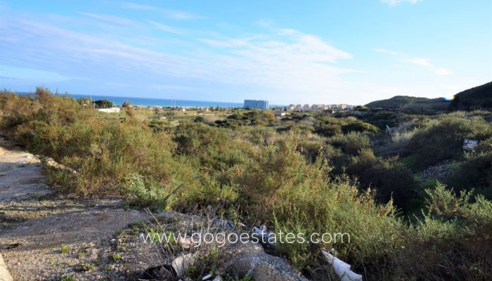 Te koop - Perceel - Land - Guardamar del Segura - Guardamar del Segura Centro