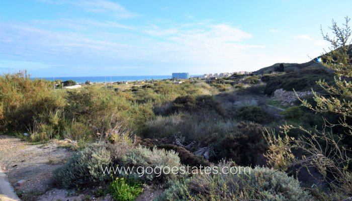 Te koop - Perceel - Land - Guardamar del Segura - Guardamar del Segura Centro