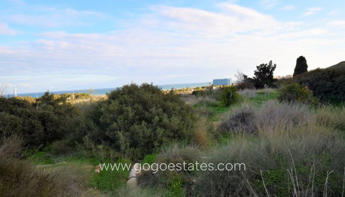 Te koop - Perceel - Land - Guardamar del Segura - Guardamar del Segura Centro
