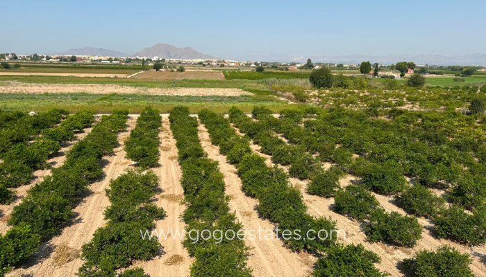 Te koop - Huis - Bungalow - Daya Nueva - Daya Nueva Centro