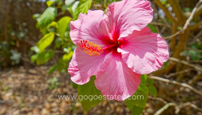 Revente - Maison - Villa Individuelle - Jávea Xàbia - Jávea - Xàbia Centro