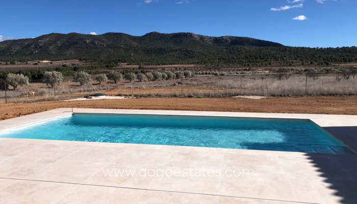 Te koop - Huis - Vrijstaande Villa - Salinas - Salinas Centro