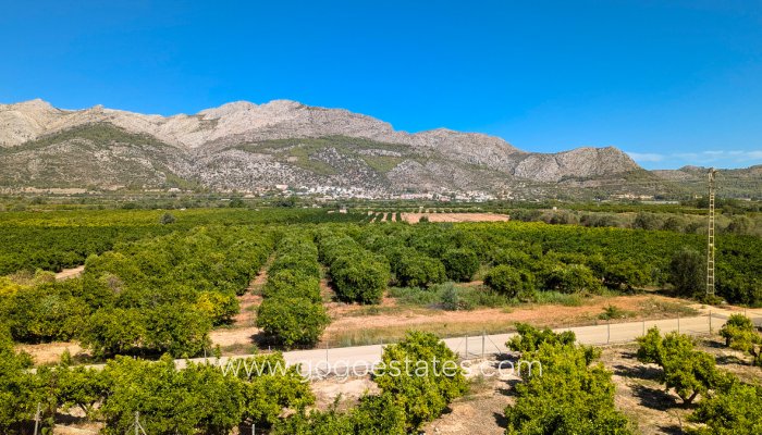 Te koop - Huis - Vrijstaande Villa - Orba - Orba Centro